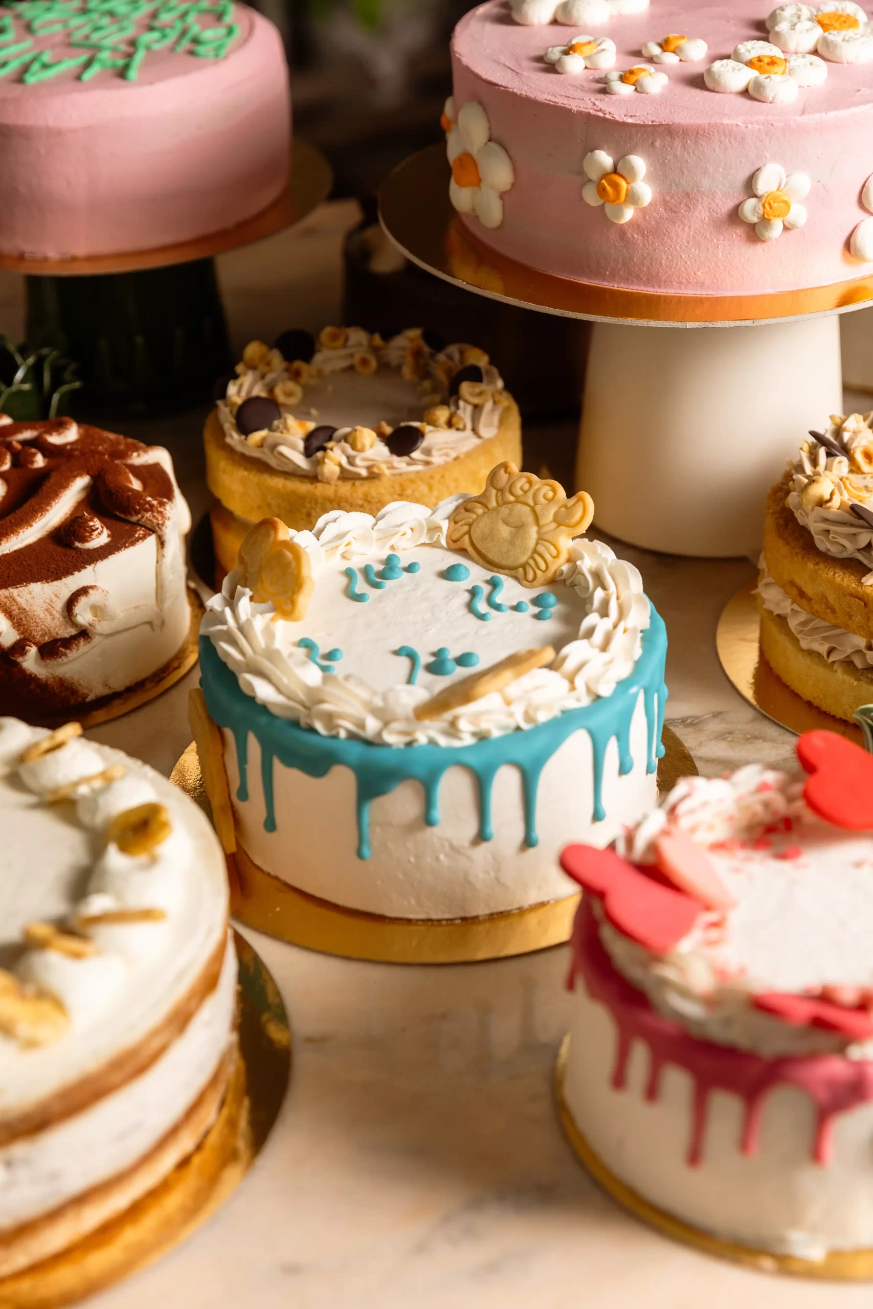 Cutie Cake - immagine 2